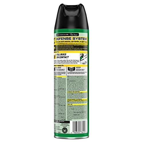 Raid House and Garden Aerosol, 11 OZ Pack of 4