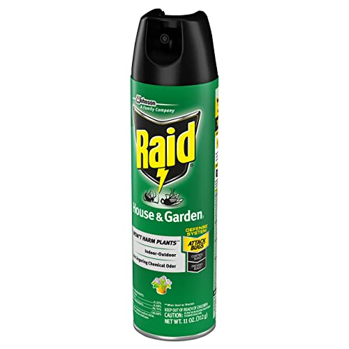 Raid House and Garden Aerosol, 11 OZ Pack of 4