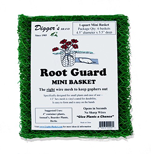 RootGuardTM The Original Heavy Duty Gopher Wire Baskets (24 Mini (Quart Size) Baskets)