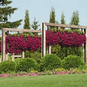 Outsidepride Spreading Purple Classic Wave Petunia Garden Flowers for Hanging Baskets, Pots, Containers, Beds - 30 Seeds