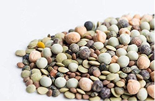 Rainbow Bean Mix Sprouting Seeds, Adzuki, Garbanzo, Green Pea, & Lentil, 40+ Heirloom Seeds in Mixture Per Packet, Non GMO Seeds, (Isla's Garden Seeds), Botanical Name: Phaseolus vulgaris