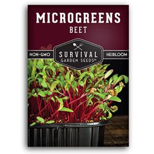 Survival Garden Seeds Beet Microgreens for Sprouting and Growing - Seed to Sprout Green Leafy Micro Vegetable Plants Indoors - Grow Your Own Mini Windowsill Garden - Non-GMO Heirloom Variety