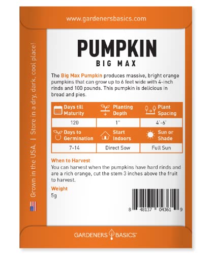 Pumpkin Seeds for Planting (Big Max) Heirloom, Non-GMO Vegetable Variety- 5 Grams Seeds Great for Summer Pumpkin Gardens by Gardeners Basics