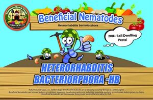 bug sales 50 million live beneficial nematodes – hb (heterohabditis bacteriophora)