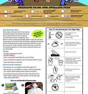 Bug Sales 50 Million Live Beneficial Nematodes - HB (Heterohabditis bacteriophora)