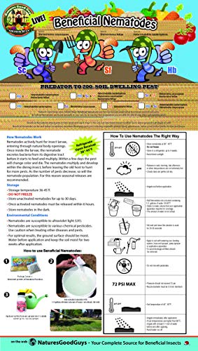 Bug Sales 50 Million Live Beneficial Nematodes - HB (Heterohabditis bacteriophora)