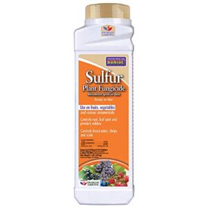 bonide sulfur plant fungicide, 1 lb. ready-to-use micronized spray or dust for organic gardening, controls common diseases