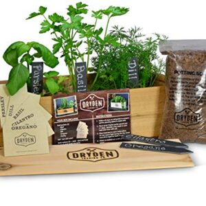 Indoor / Outdoor Herb Garden Kit - Classic Wood Planter Box with Herb Seeds, Plant Stakes and Expanding Wondersoil - 16" Long x 6" Wide x 6" Tall (will fit in windowsill up to 6" deep) (Cedar Wood)