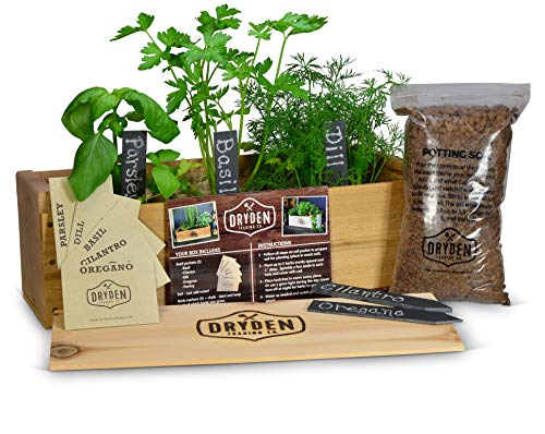 Indoor / Outdoor Herb Garden Kit - Classic Wood Planter Box with Herb Seeds, Plant Stakes and Expanding Wondersoil - 16" Long x 6" Wide x 6" Tall (will fit in windowsill up to 6" deep) (Cedar Wood)