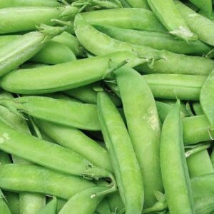 "Wando" Garden Pea Seeds for Planting, 50+ Heirloom Seeds Per Packet, (Isla's Garden Seeds), Non GMO Seeds, Botanical Name: Pisum sativum, Great Home Garden Pea Variety