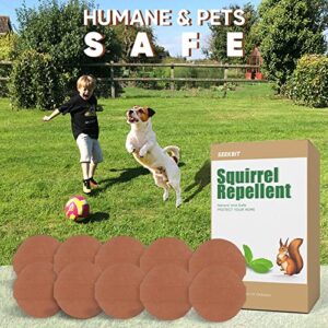 SEEKBIT 10 Pack Squirrel Repellent | Repels Chipmunk Rodent Mice | Peppermint Oil Attic, Garden Squirrels Deterrent | Car Engines Under Hood Pest Repeller | Waterproof Long Lasting, Bags