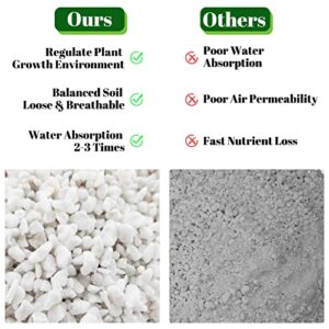 Legigo 8 Quarts Organic Horticultural Perlite for Plants Indoor- Natural Horticultural Soil Additive Conditioner Mix for Improves Drainage, Ventilation and Root Growth