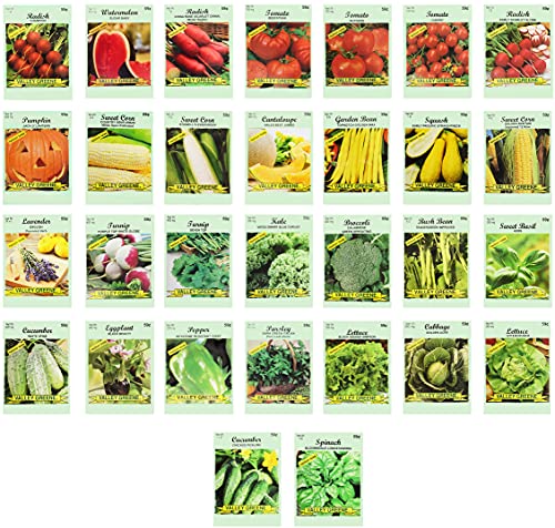 Set of 30 Vegetable and Herb Seeds - Semi Assorted - 100% Non-GMO & Heirloom - Great for Starting a Garden! High Germination Rate! (30)