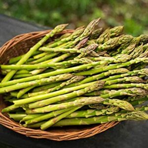 Seeds Asparagus White Giant Vegetable Garden Heirloom for Planting Non GMO