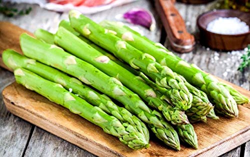 Seeds Asparagus White Giant Vegetable Garden Heirloom for Planting Non GMO