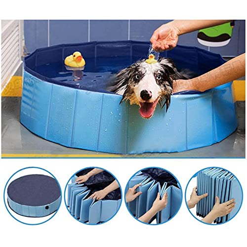 EGREX Dog Pool, Foldable Dog Padding Pool - Dog Water Pool Pet Outdoor Swimming Playing Pond Animal Water Bath Tub for Garden for Large Dogs and Kids (Size : 80 * 20cm(31.4 * 7.87"))