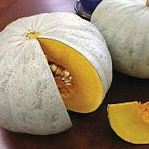 sweet meat squash seeds (20+ seeds) | non gmo | vegetable fruit herb flower seeds for planting | home garden greenhouse pack