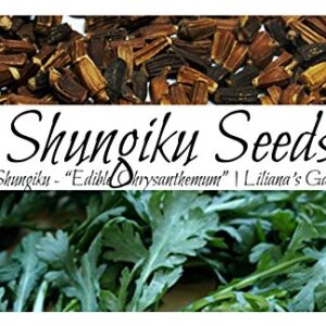 Shungiku Seeds - Edible Chrysanthemum - Green - Liliana's Garden