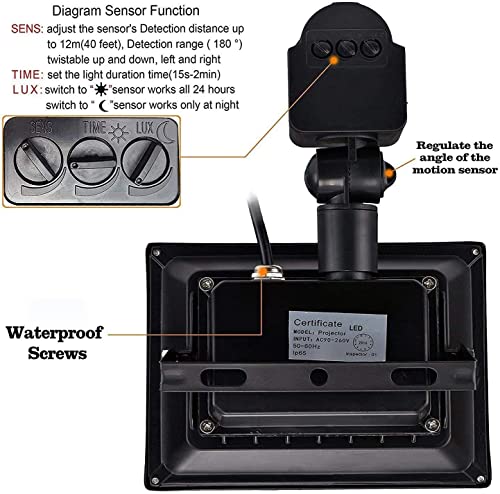 DLLT 30W LED Plug in Motion Sensor Lights Outdoor, 2400LM Flood Light Motion Detected Spotlight, IP66 Waterproof Exterior Security Light for Garage/Yard/Garden/Driveway/Front Door, 6000K White Light