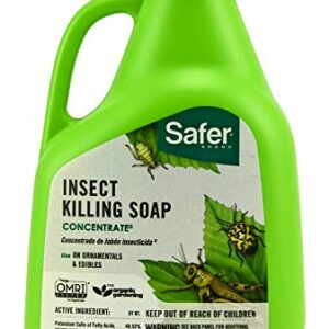 Safer Safer Insect Soap Concentrate, 16 oz OMRI Listed