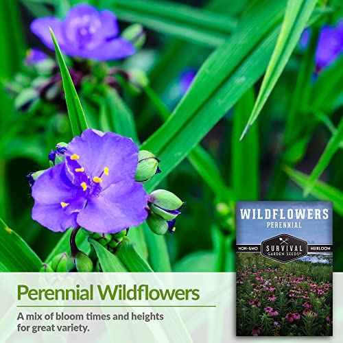 Survival Garden Seeds - Perennial Wildflower Seed for Planting - Packet with Instructions to Plant and Grow in Your Home Garden - Non-GMO Heirloom Varieties