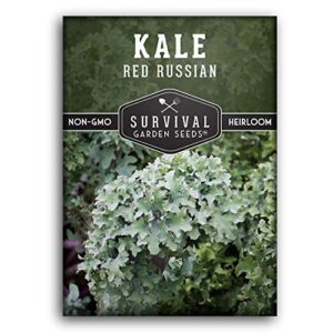 survival garden seeds – red russian kale seed for planting – packet with instructions to plant and grow curly ornamental and edible kale in your home vegetable garden – non-gmo heirloom variety