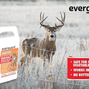 Everguard ADPC032 Concentrated Deer and Rabbit Repellent