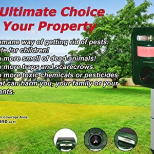 GARDEN SECRETS (2023 Version) Compact Solar Ultrasonic Animal Repellent. Skunk Raccoon Deer Coyote Cat Rat Mice etc Deterrent. Keep Pests Away from Your Property Within 2-4 Weeks. (Green, 3 Pack)