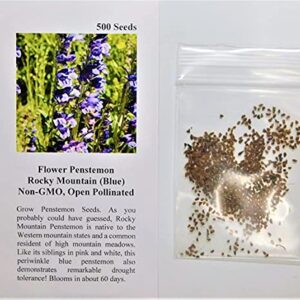 David's Garden Seeds Flower Penstemon Rocky Mountain 1124 (Blue) 200 Non-GMO, Heirloom Seeds