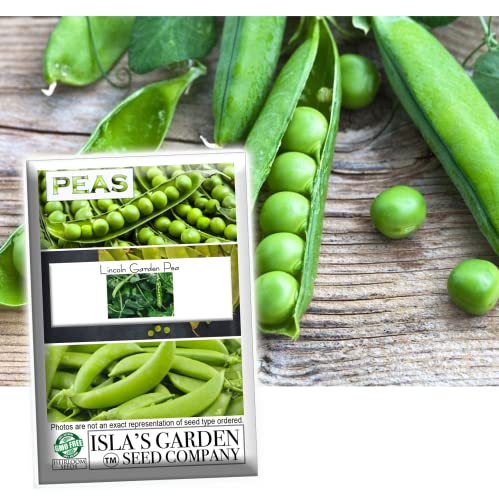 Lincoln Garden Pea Seeds for Planting, 50+ Heirloom Seeds Per Packet, (Isla's Garden Seeds), Non GMO Seeds, Botanical Name: Pisum sativum, Great Home Garden Gift