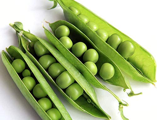 Lincoln Garden Pea Seeds for Planting, 50+ Heirloom Seeds Per Packet, (Isla's Garden Seeds), Non GMO Seeds, Botanical Name: Pisum sativum, Great Home Garden Gift