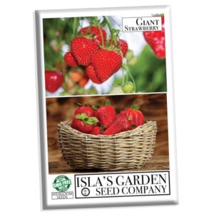 Giant Strawberry Seeds for Planting, 50 Heirloom Seeds Per Packet, (Isla's Garden Seeds), Non GMO Seeds, Botanical Name: Fragaria vesca, Great Home Fruit Garden Gift