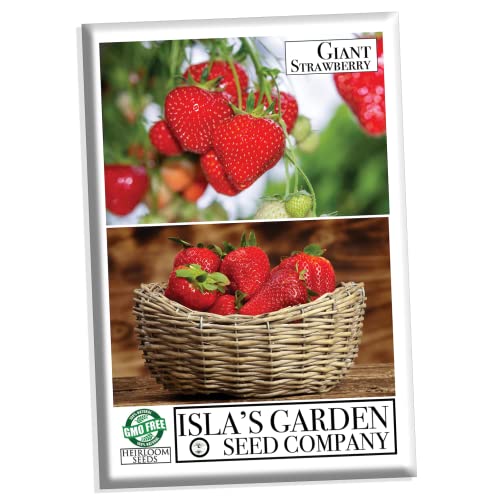 Giant Strawberry Seeds for Planting, 50 Heirloom Seeds Per Packet, (Isla's Garden Seeds), Non GMO Seeds, Botanical Name: Fragaria vesca, Great Home Fruit Garden Gift