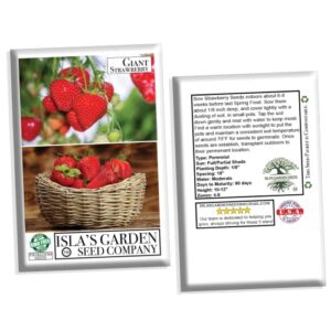 Giant Strawberry Seeds for Planting, 50 Heirloom Seeds Per Packet, (Isla's Garden Seeds), Non GMO Seeds, Botanical Name: Fragaria vesca, Great Home Fruit Garden Gift