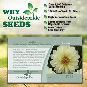 Outsidepride Dahlia Opera White Garden Cut Flower Seeds Great for Bouquets & Dried Floral Arrangements - 400 Seeds