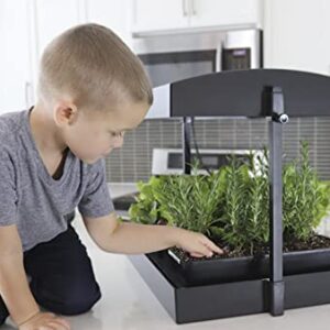 SunBlaster LED Indoor Growlight Garden, Home Growing Kit