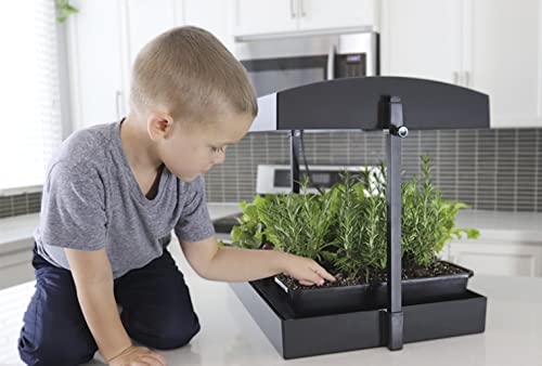 SunBlaster LED Indoor Growlight Garden, Home Growing Kit