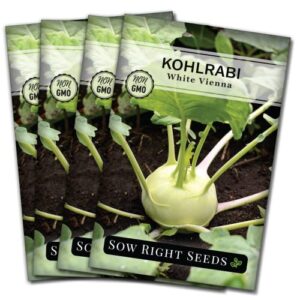 sow right seeds – white vienna kohlrabi seed for planting – non-gmo heirloom packet with instructions to plant a home vegetable garden (4)