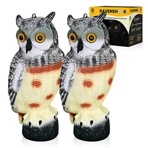germofin hausse 2 pack bird scarecrow fake horned owl decoy, nature enemy pest repellent for outdoor garden yard