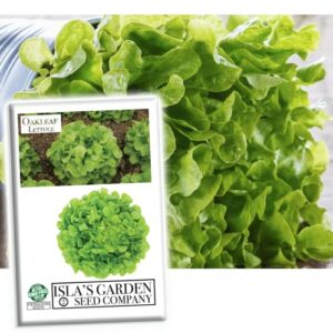 oakleaf leaf lettuce seeds for planting, 1000+ heirloom seeds per packet, (isla’s garden seeds), non gmo seeds, botanical name: lactuca sativa, great home garden gift