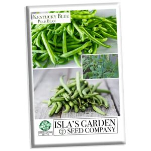 “kentucky blue” pole bean seeds for planting, 30+ heirloom seeds per packet, non gmo seeds, (isla’s garden seeds), botanical name: phaseolus vulgaris, great home garden gift