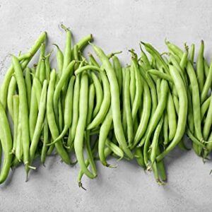 "Kentucky Blue" Pole Bean Seeds for Planting, 30+ Heirloom Seeds Per Packet, Non GMO Seeds, (Isla's Garden Seeds), Botanical Name: Phaseolus vulgaris, Great Home Garden Gift