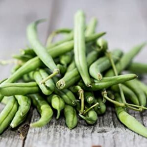 "Kentucky Blue" Pole Bean Seeds for Planting, 30+ Heirloom Seeds Per Packet, Non GMO Seeds, (Isla's Garden Seeds), Botanical Name: Phaseolus vulgaris, Great Home Garden Gift