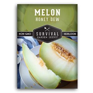 survival garden seeds – honeydew melon seed for planting – packet with instructions to plant and grow light green honey dew melons your home vegetable garden – non-gmo heirloom variety