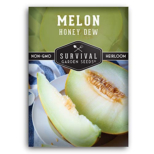 Survival Garden Seeds - Honeydew Melon Seed for Planting - Packet with Instructions to Plant and Grow Light Green Honey Dew Melons Your Home Vegetable Garden - Non-GMO Heirloom Variety