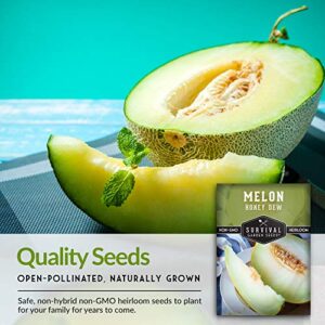 Survival Garden Seeds - Honeydew Melon Seed for Planting - Packet with Instructions to Plant and Grow Light Green Honey Dew Melons Your Home Vegetable Garden - Non-GMO Heirloom Variety