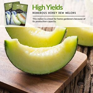 Survival Garden Seeds - Honeydew Melon Seed for Planting - Packet with Instructions to Plant and Grow Light Green Honey Dew Melons Your Home Vegetable Garden - Non-GMO Heirloom Variety