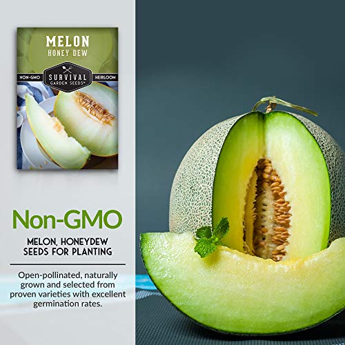 Survival Garden Seeds - Honeydew Melon Seed for Planting - Packet with Instructions to Plant and Grow Light Green Honey Dew Melons Your Home Vegetable Garden - Non-GMO Heirloom Variety