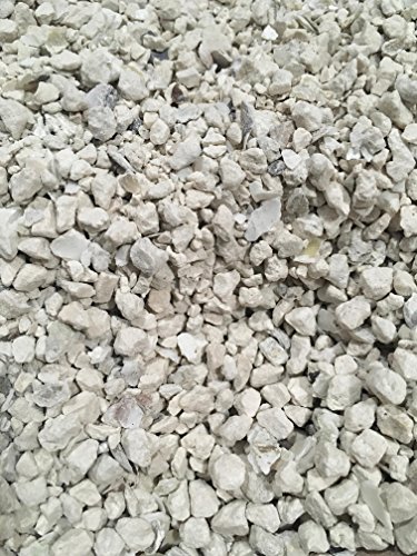 Natural Crushed Oyster Shell with Calcium (4 lb)