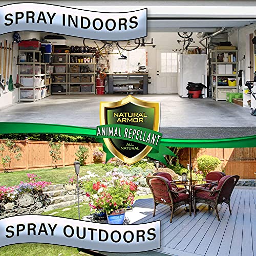 Natural Armor Animal & Rodent Repellent Spray. Repels Skunks, Raccoons, Rats, Mice, Deer Rodents & Critters. Repeller & Deterrent in Powerful Peppermint Formula – 128 Fl Oz Gallon Case of 4